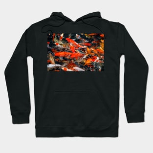 Fish Frenzy Hoodie